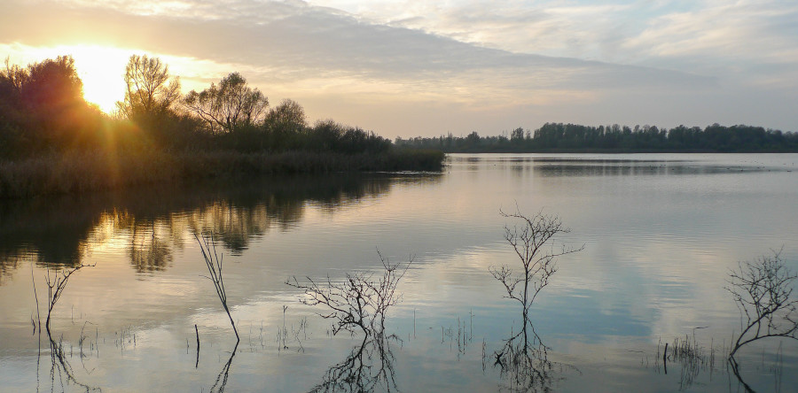 Lepelaarplassen