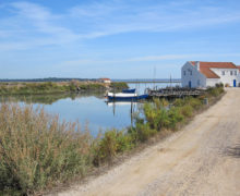 Ebro delta en Algarve in het najaar