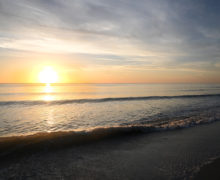Winter in Florida