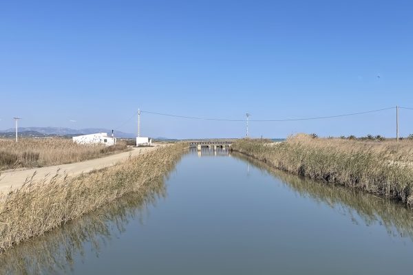 ebro-delta-kanaal-naar-zee