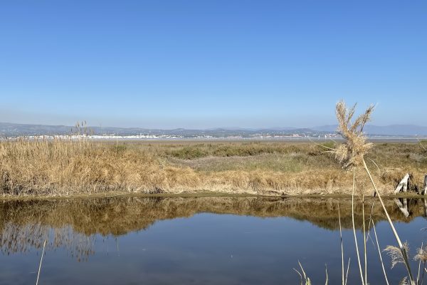 ebro-delta-kanaal-waterral