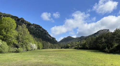 navarra