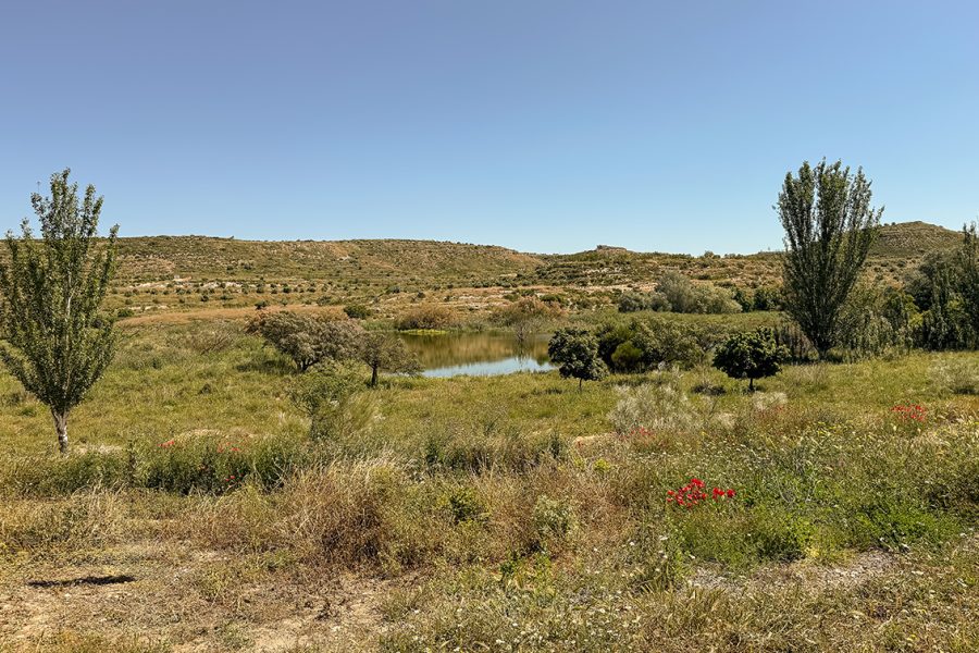 mas-de-melons mas-de-melons