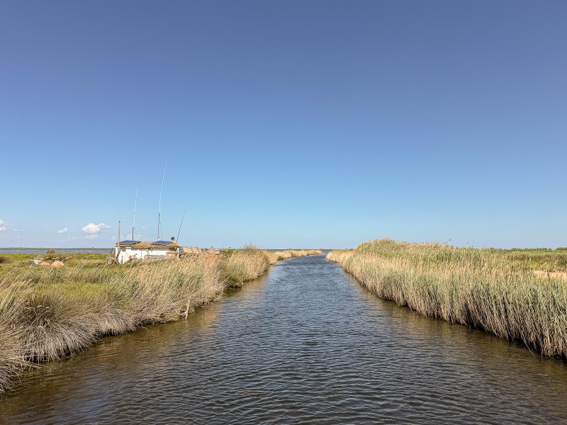 ebro-delta-kanaal-naar-zee-1
