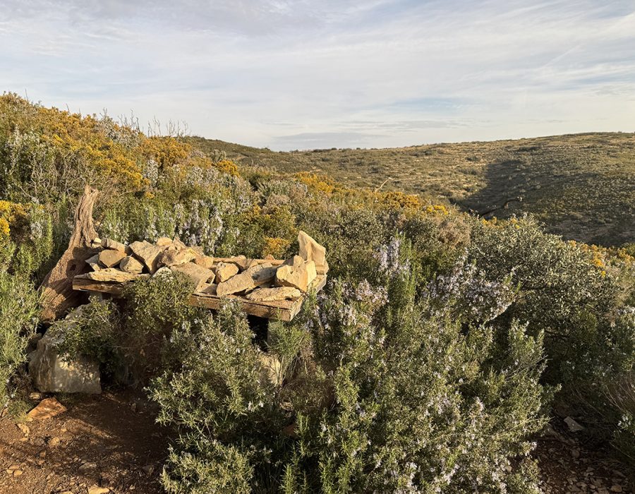 Steenarend hut uitzicht