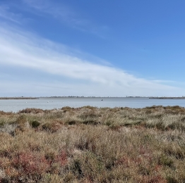 Ebro delta door de seizoenen